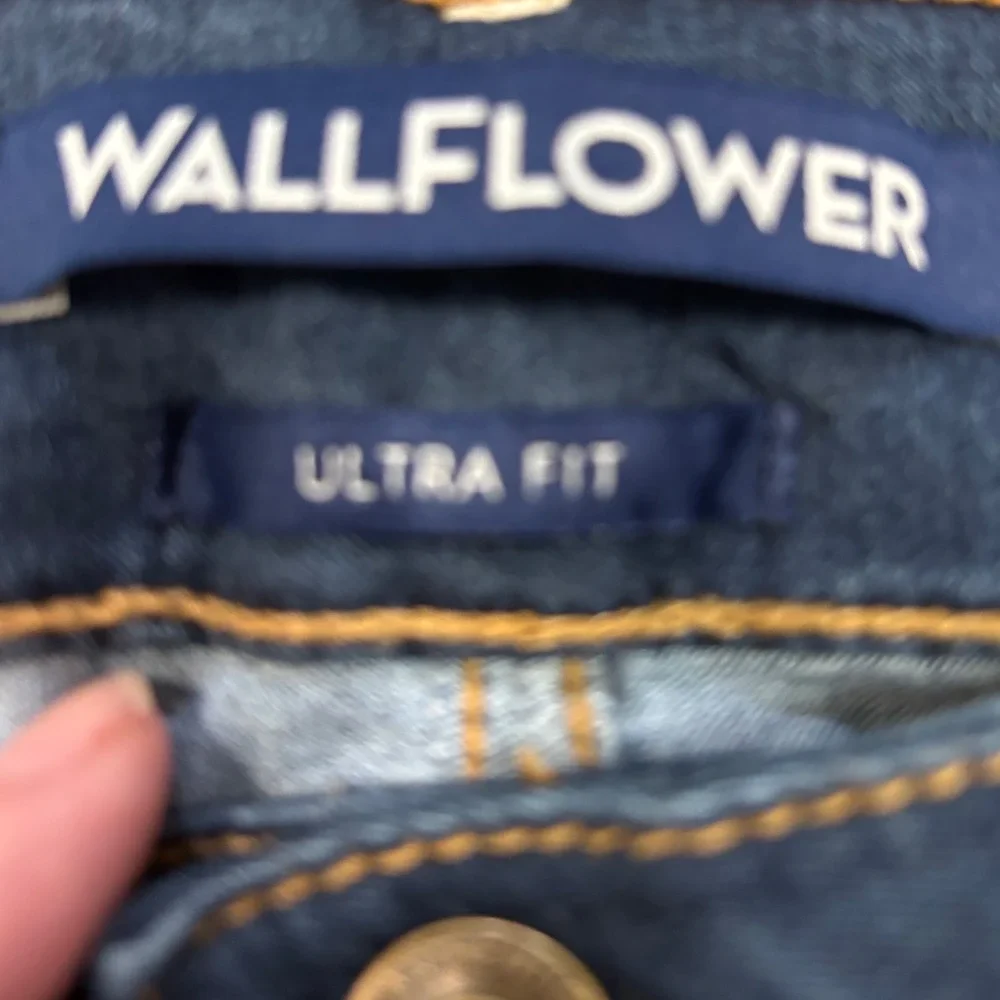 Wallflower brand new