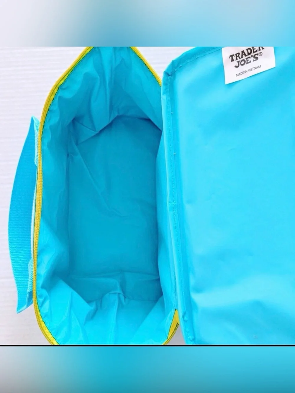 🌺NWT Trader Joe's insulated Aqua Mini Tote - Summer 2025