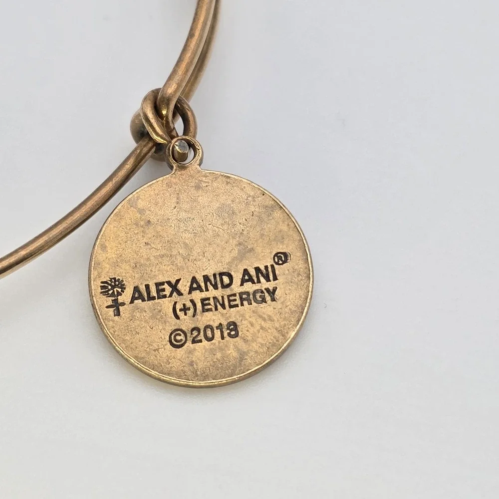 Alex and Ani item used