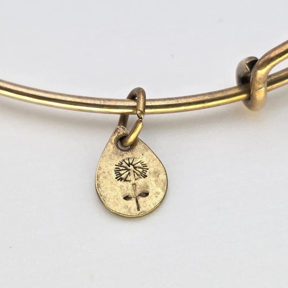 Alex and Ani item used