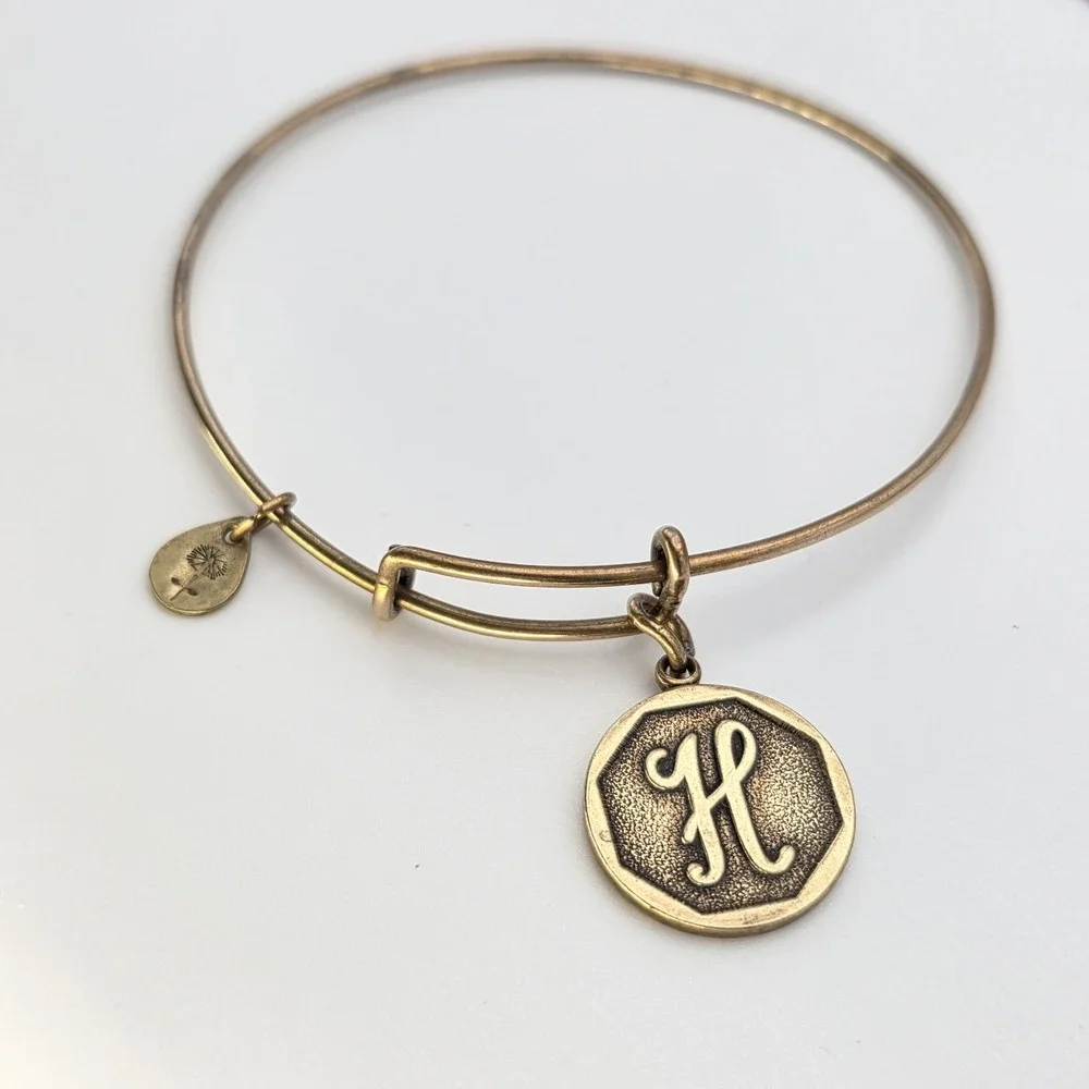 Alex and Ani item used