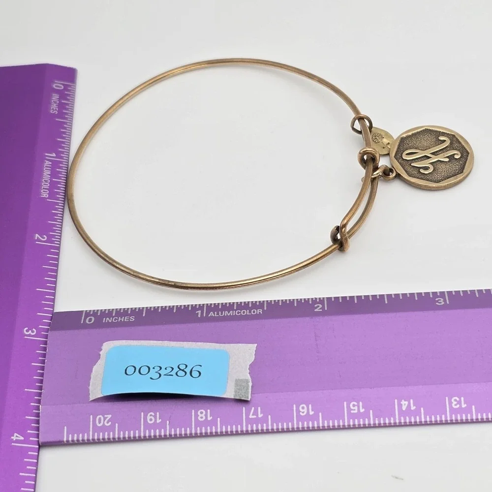 Alex and Ani item used