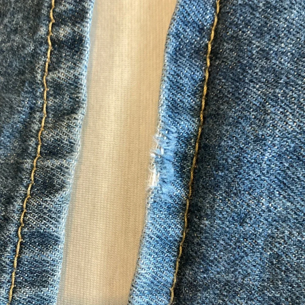 Levis levi 559
