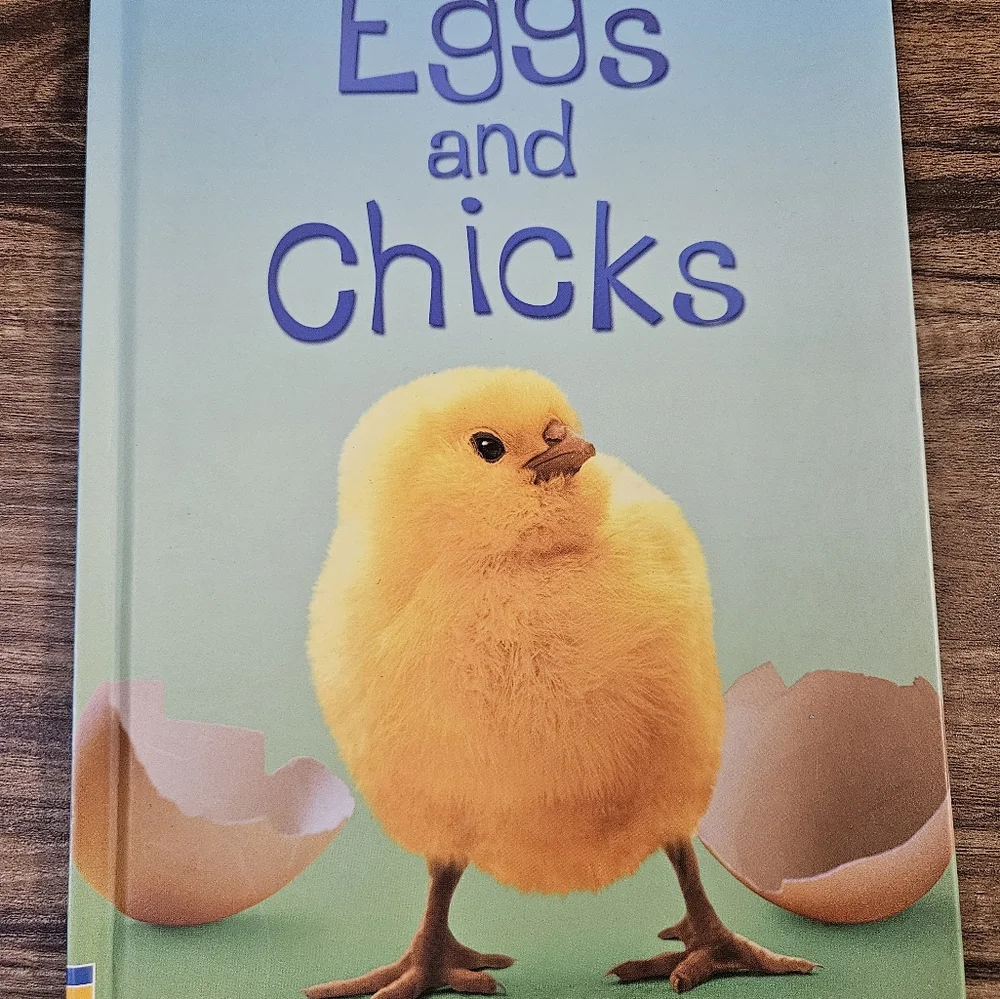 Children's Educational Book Set Usborne bundle lot set homeschooling