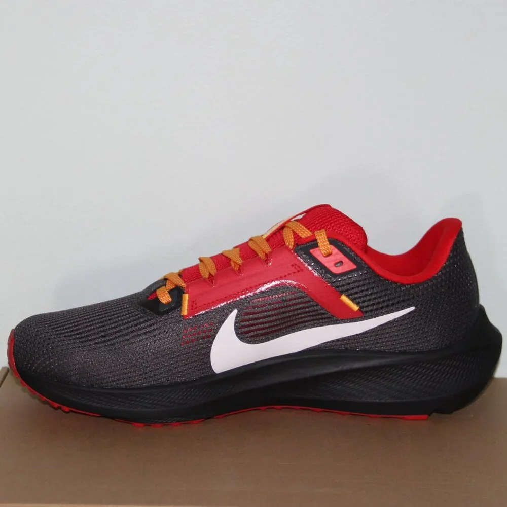Nike pegasus 40