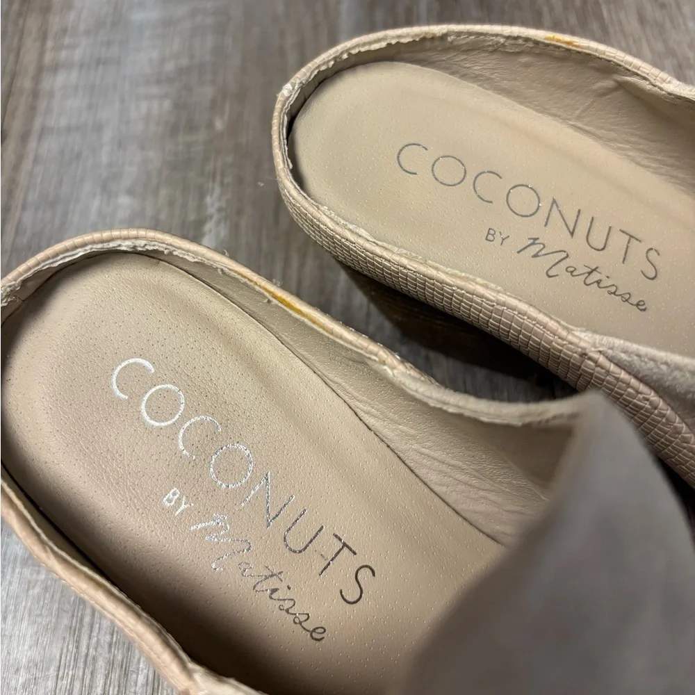 Coconuts by Matisse wearing sand