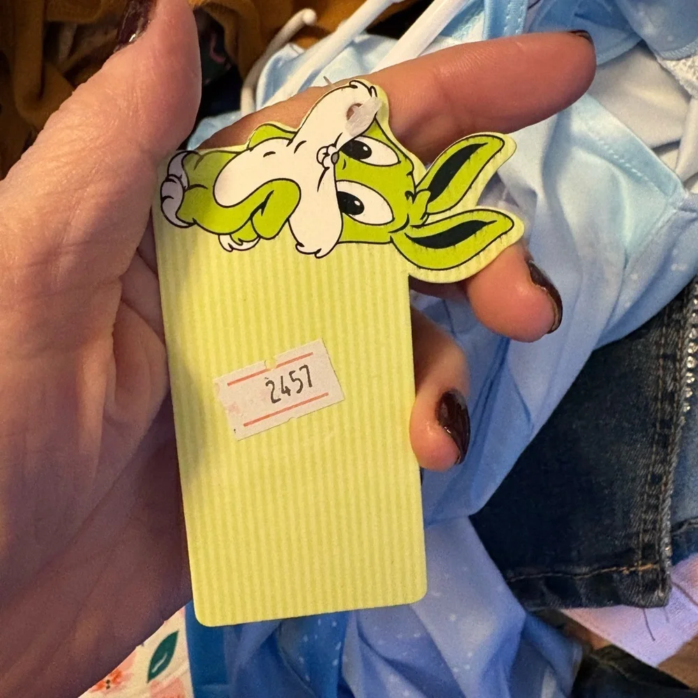 Disney enchanting frozen