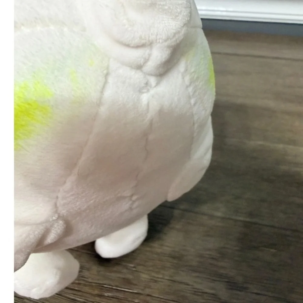 Cabbage Shiba Inu this cabbage