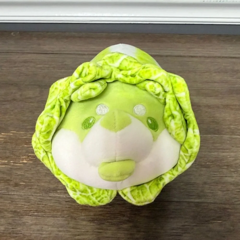 Cabbage Shiba Inu Dog 8