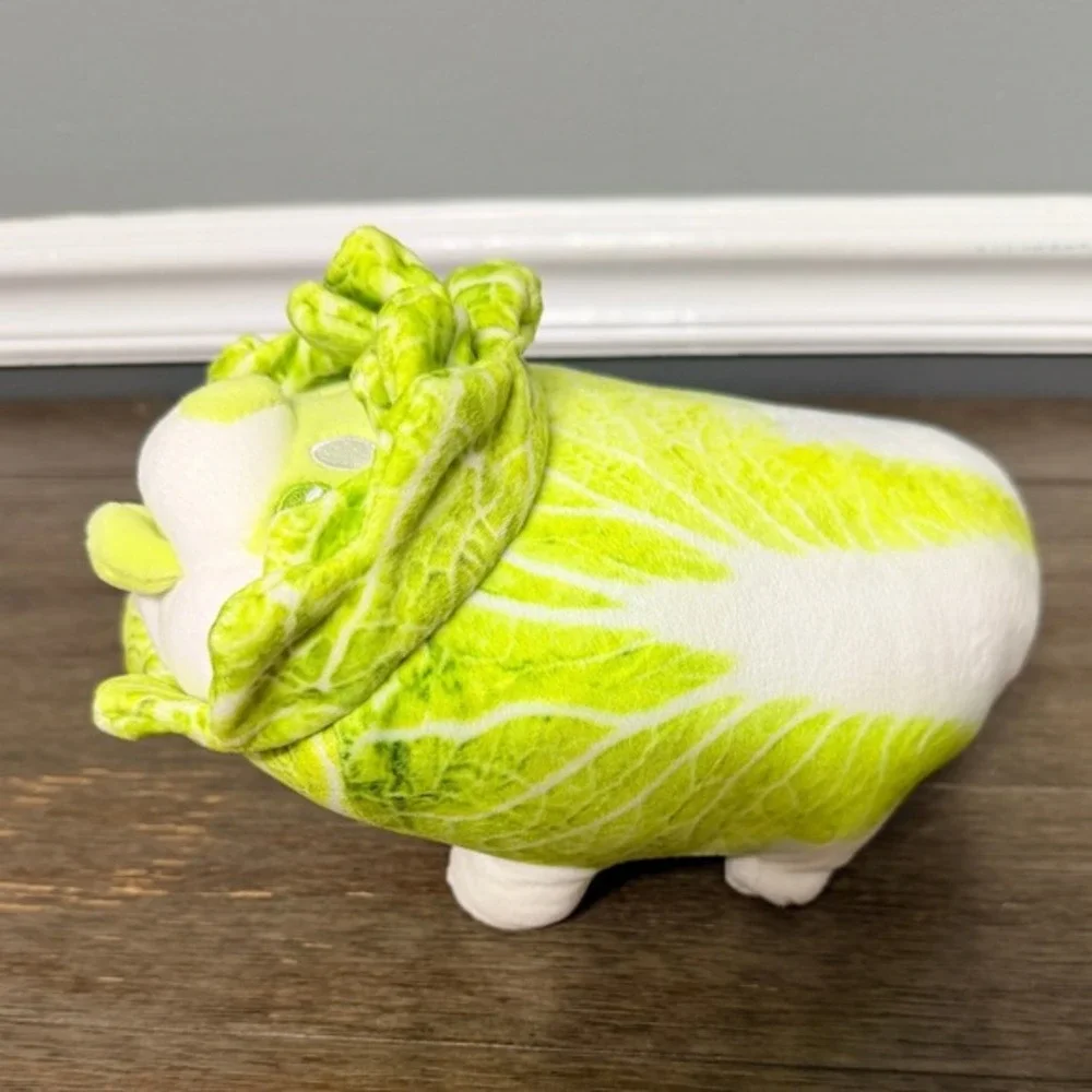 Cabbage Shiba Inu this cabbage