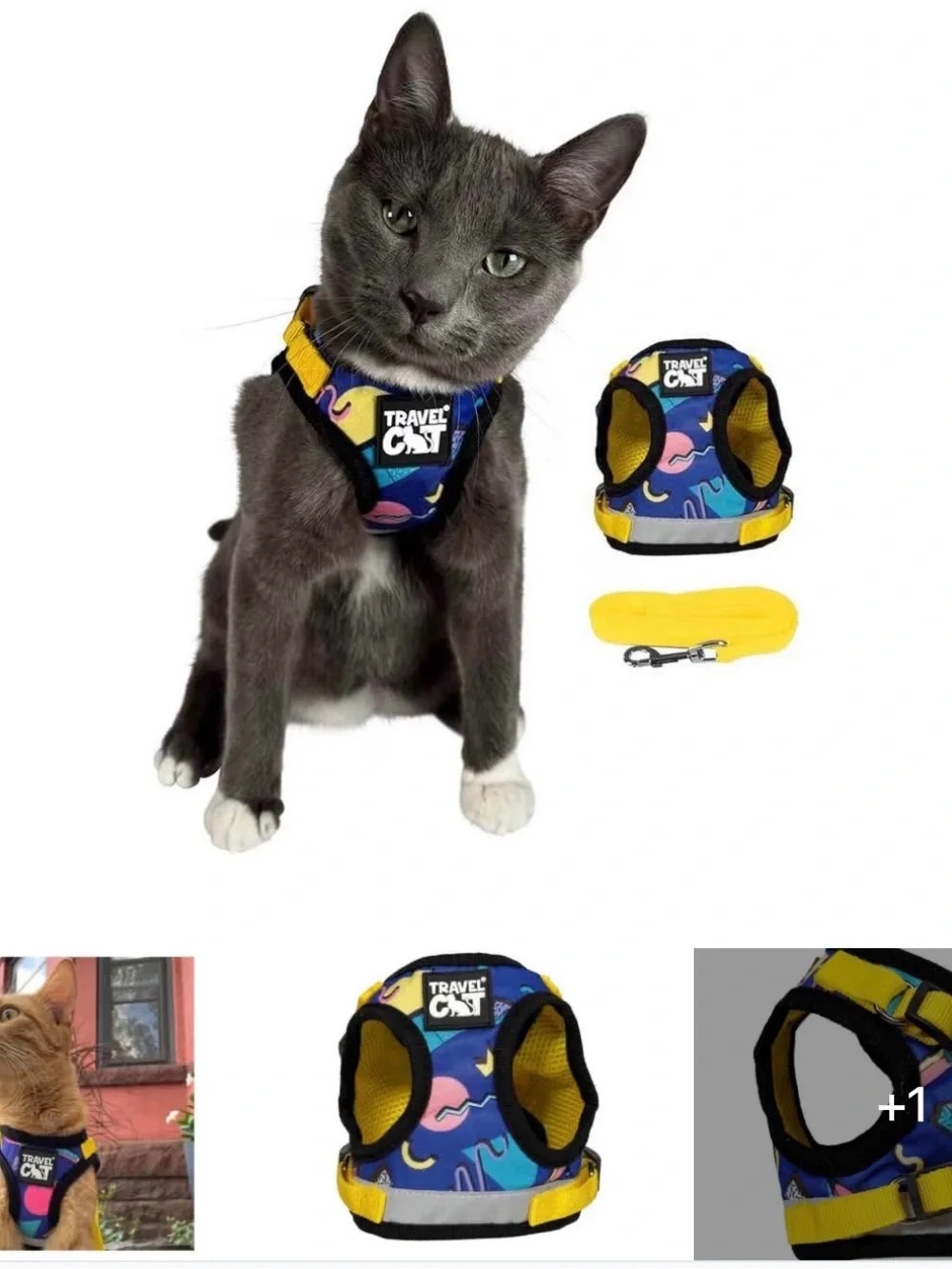 Travel Cat multicolor padded