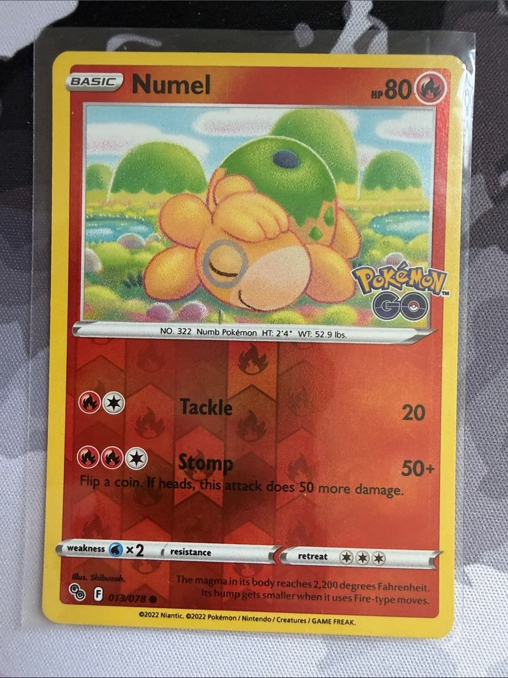 Pokemon numel camerupt