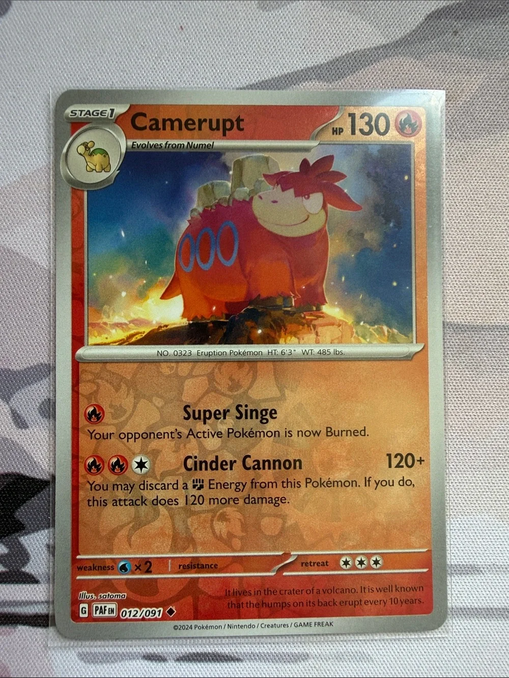 Pokemon numel camerupt