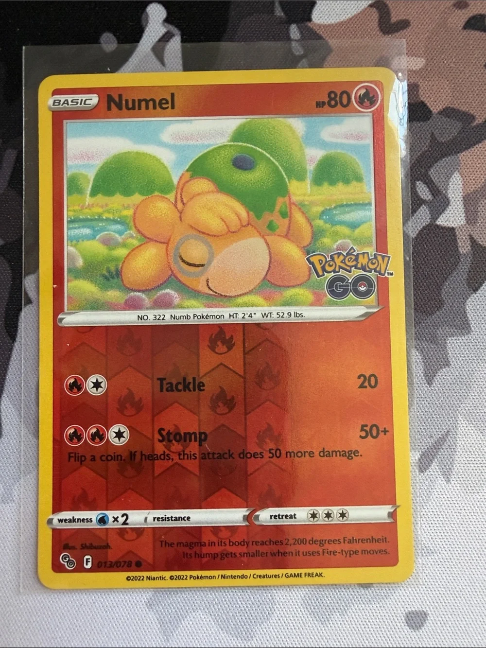 Pokemon numel camerupt