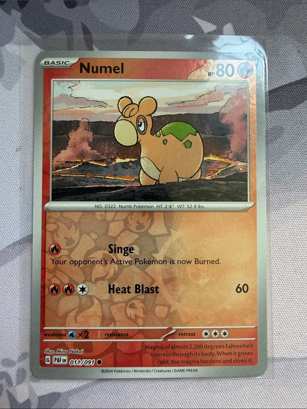 Pokemon numel camerupt