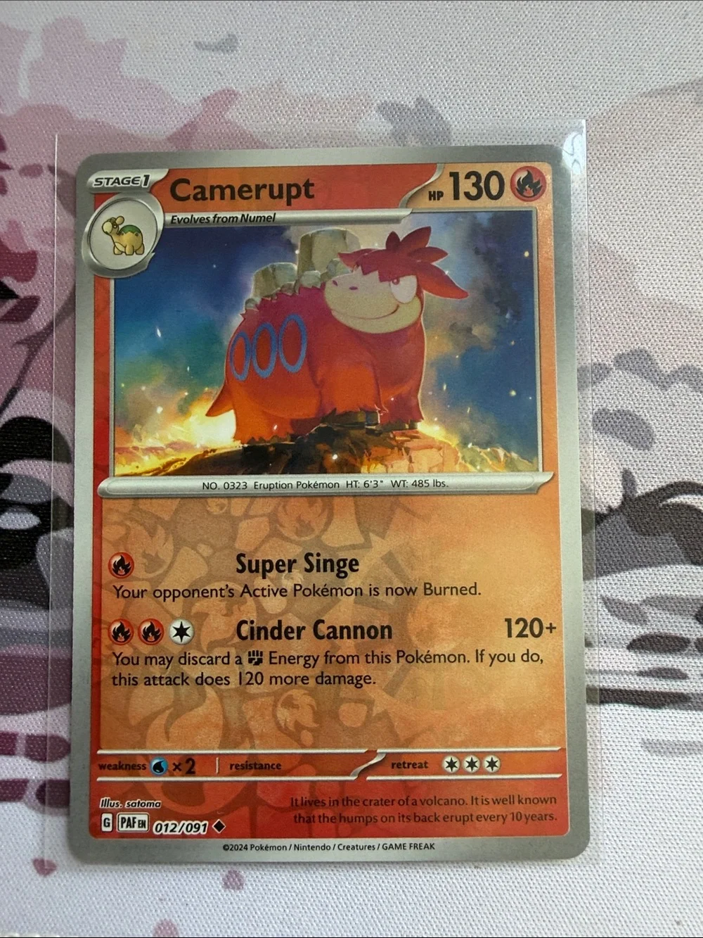 Pokemon numel camerupt