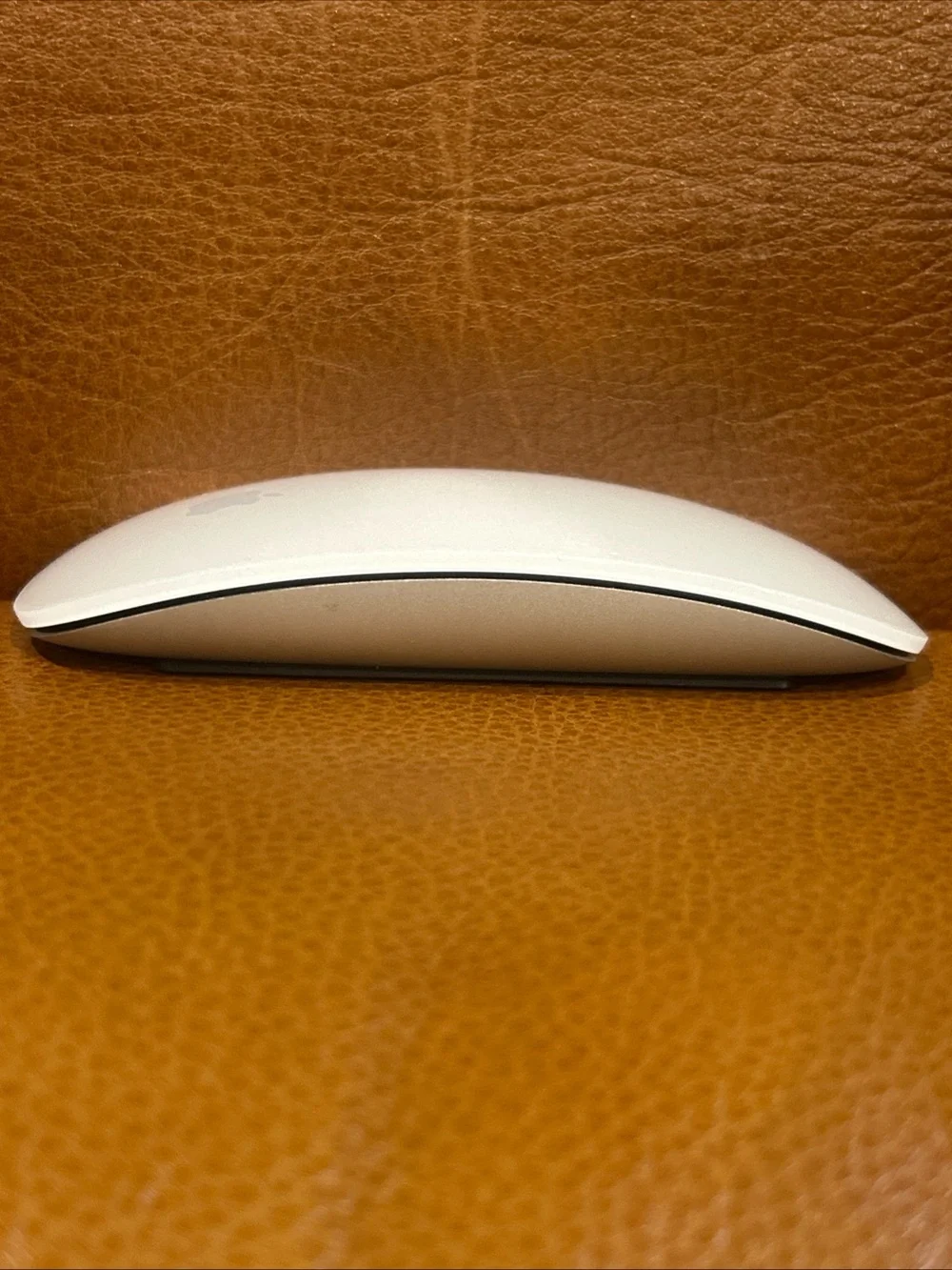 Apple sleek mouse
