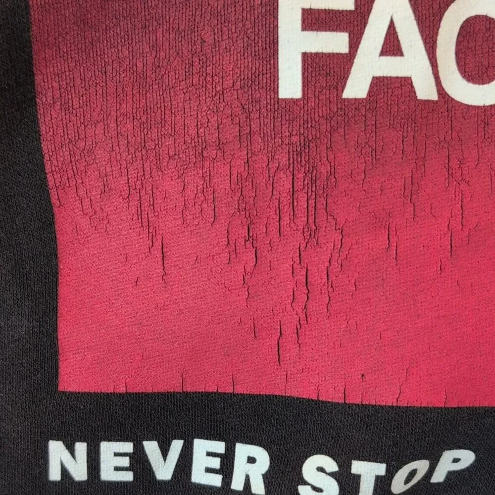 The North Face north face