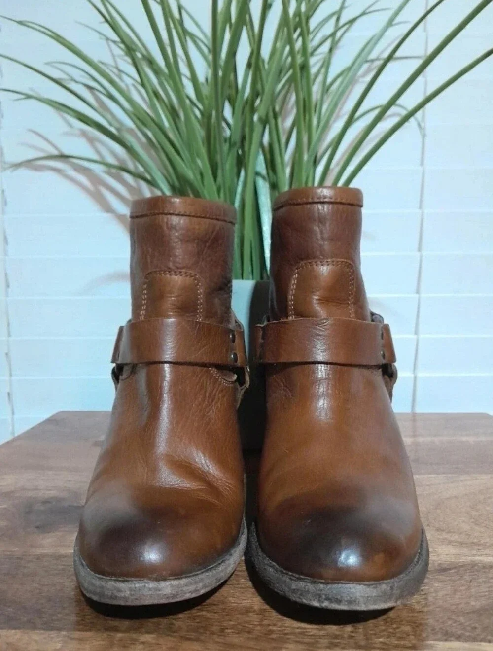 Frye classic brown