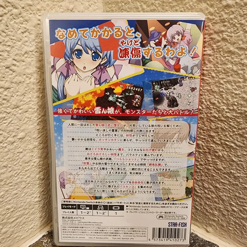 Nintendo familiar import
