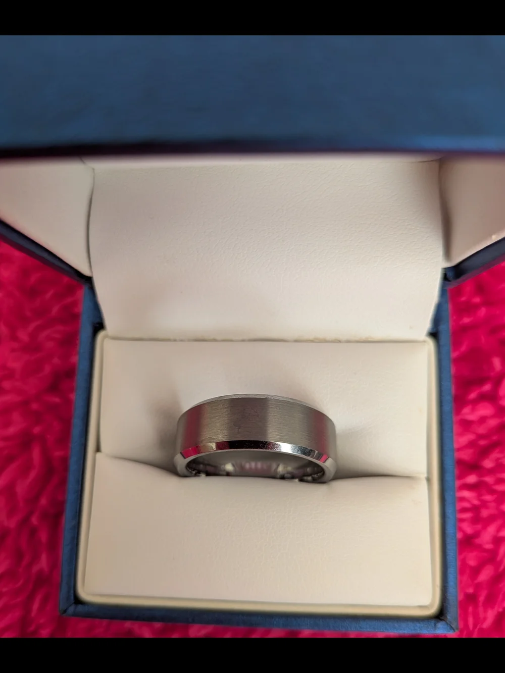 Men's Brushed Silver Titanium Wedding Band - Silver Pd $450 Asking $325