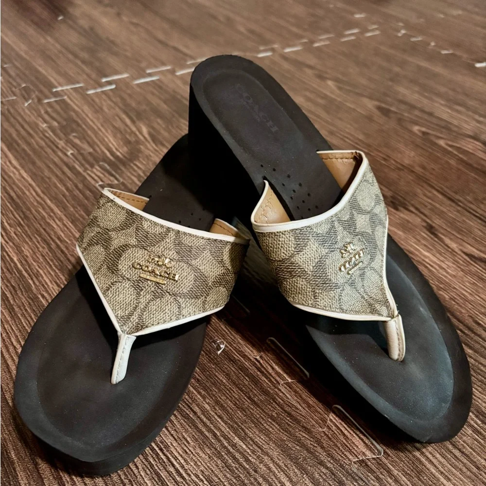 Coach Signature Canvas Thong Sandals in Brown and Black