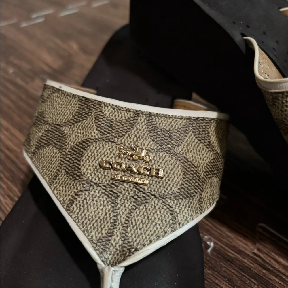 Coach classic thong