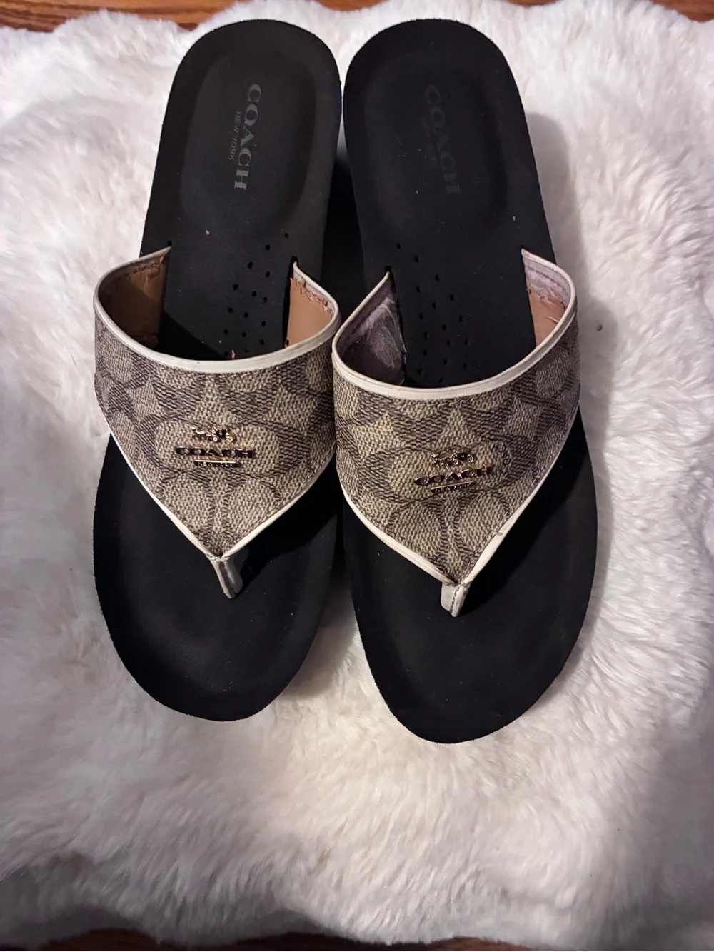 Coach classic thong