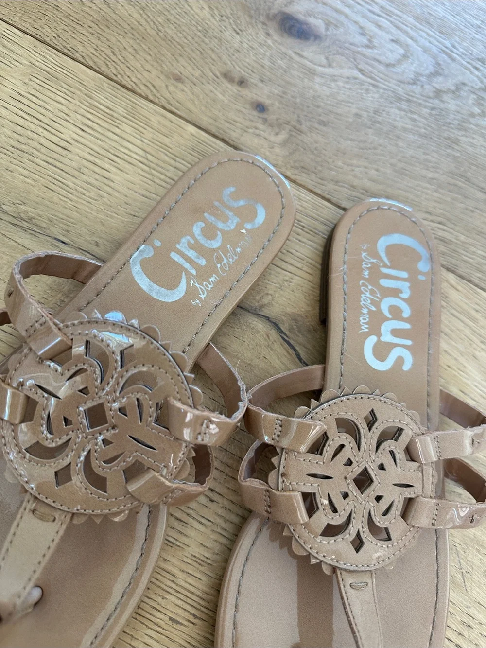 Circus by Sam Edelman circus by