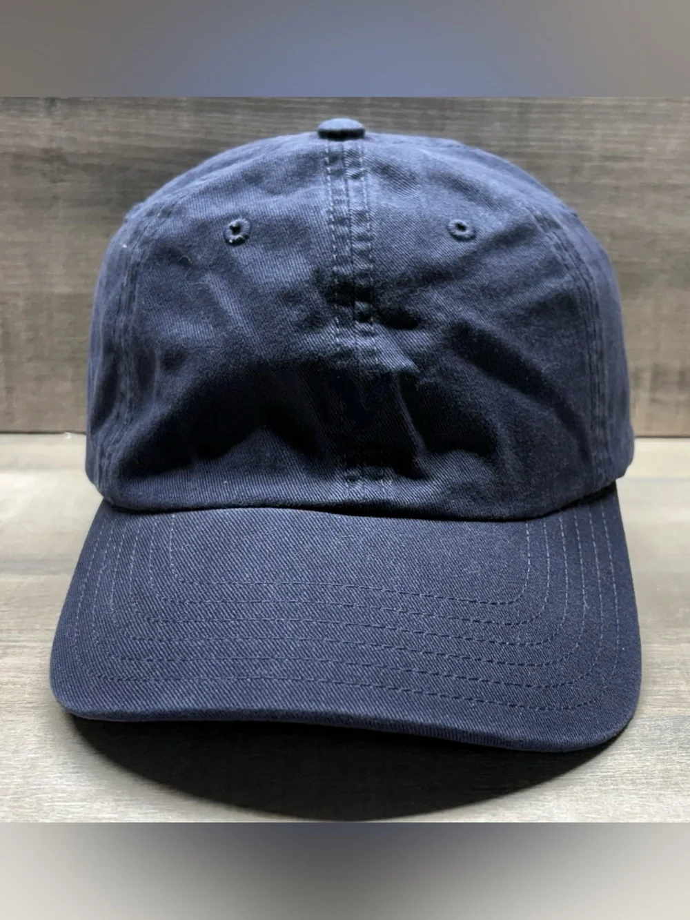 American Eagle Outfitters Navy Blue Embroidered Eagle Baseball Cap