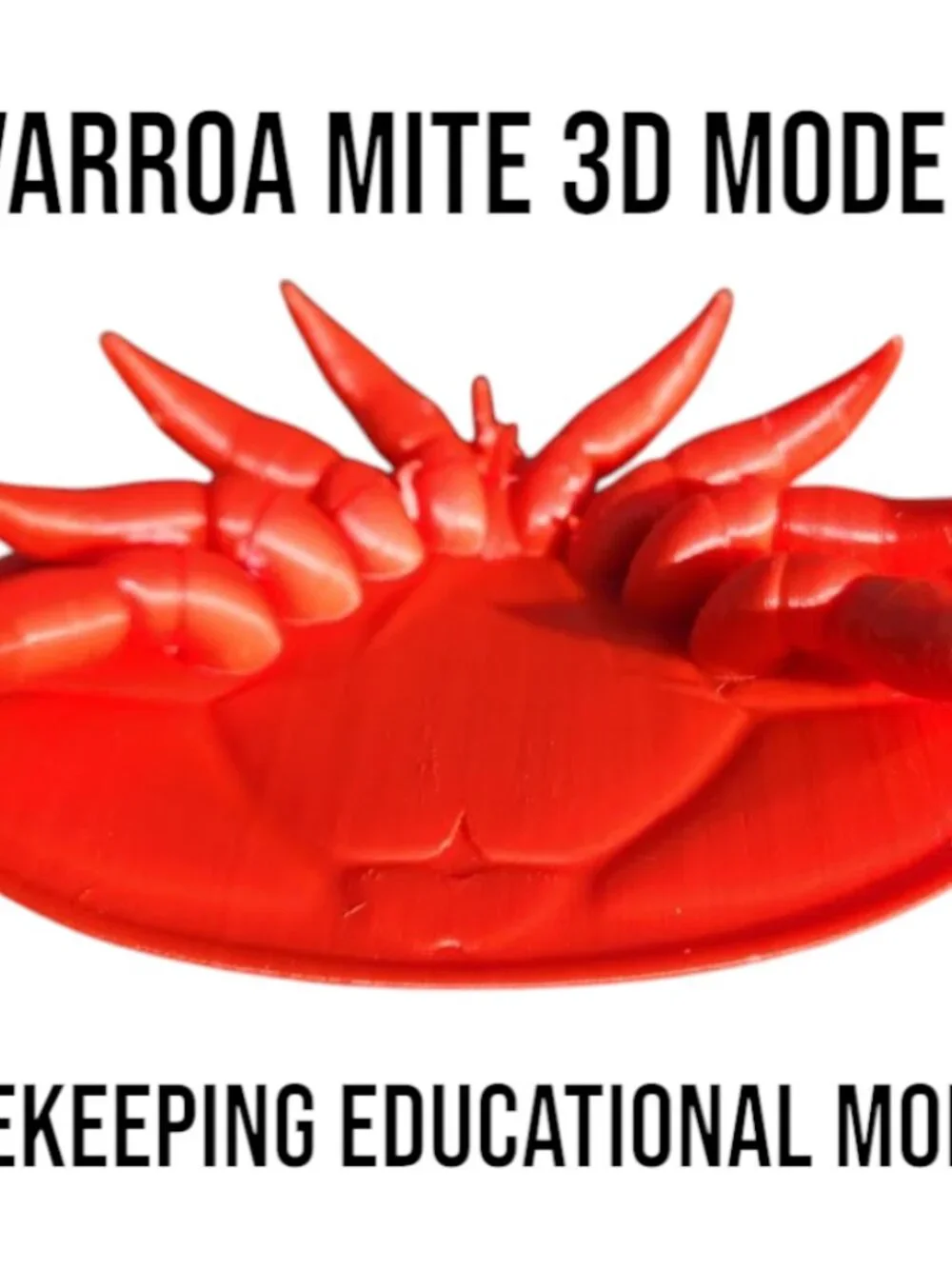 Handmade varroa mite