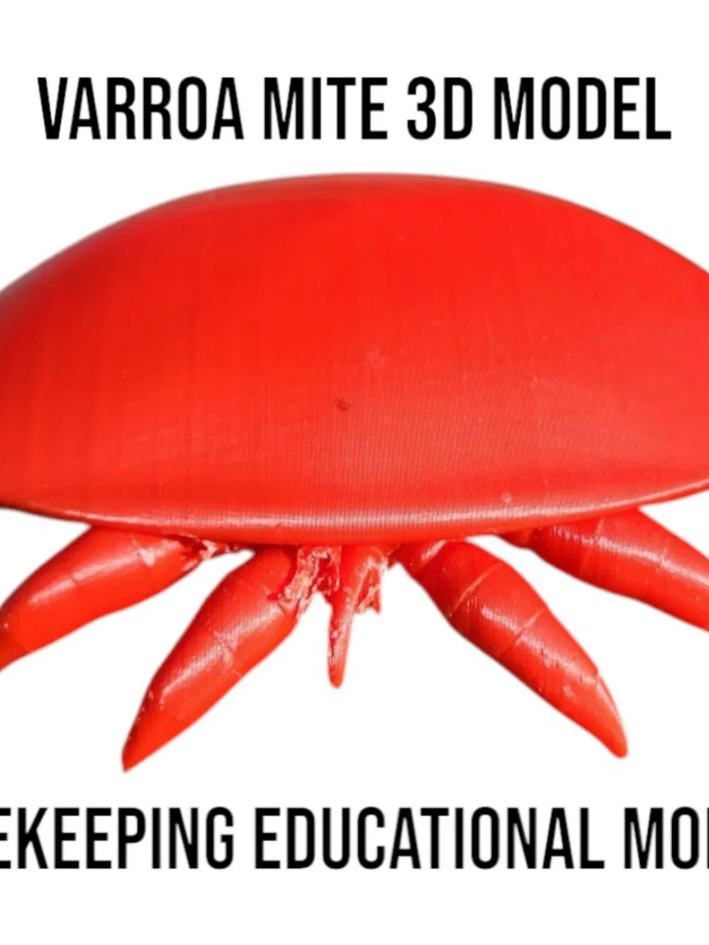 Handmade varroa mite