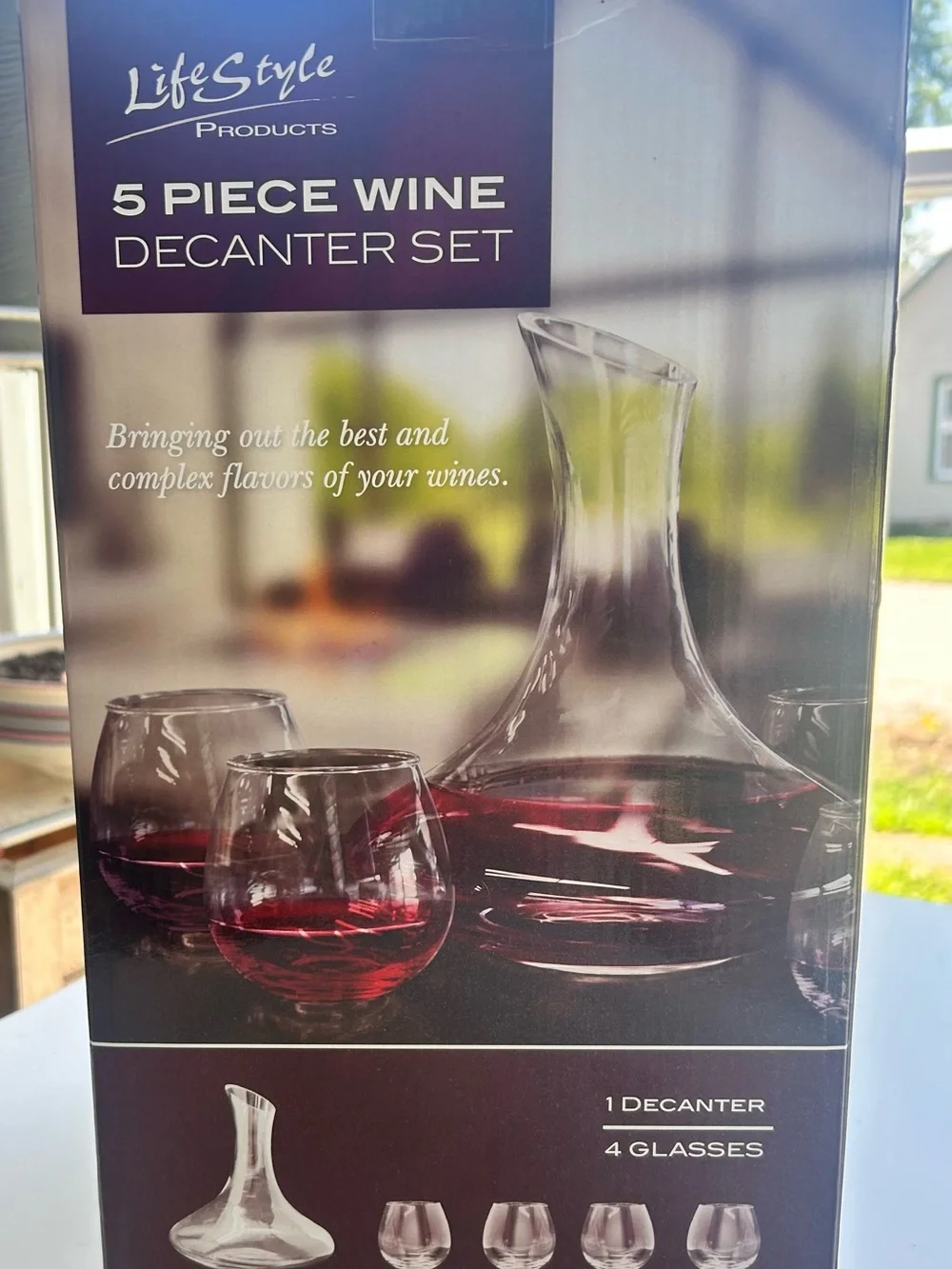 LifeStyle 5-Piece Wine Decanter Set - Clear Glass