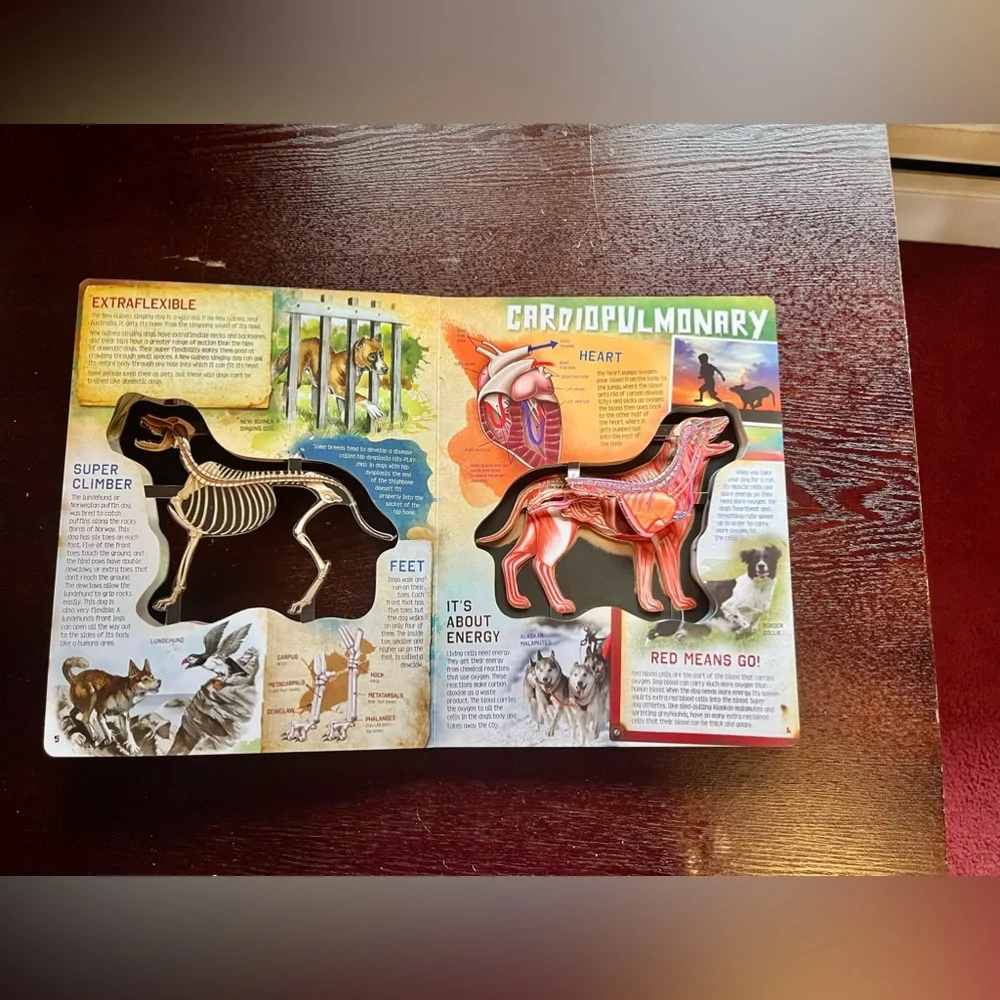 Scholastic pets dogs