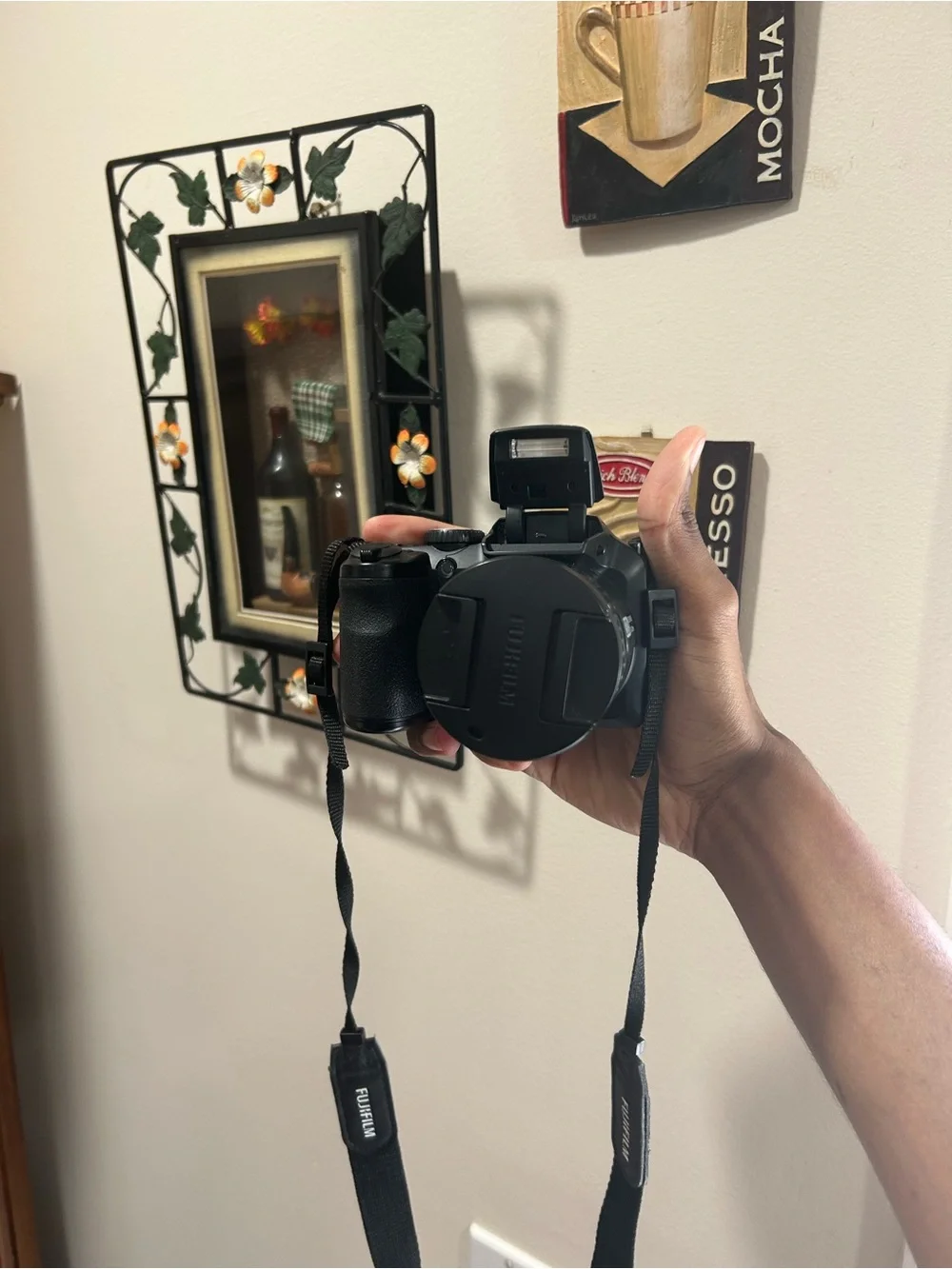 Fujifilm FinePix S4830 16Mp 30 x Zoom Digital Camera Black used w Sd card