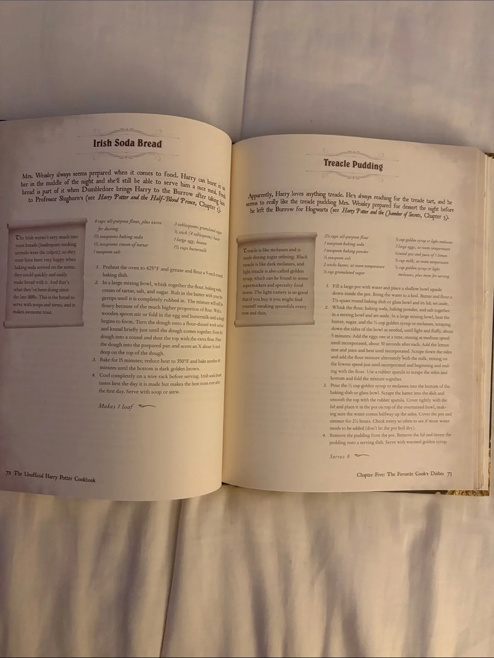 The Unofficial Cookbooks two cookbooks