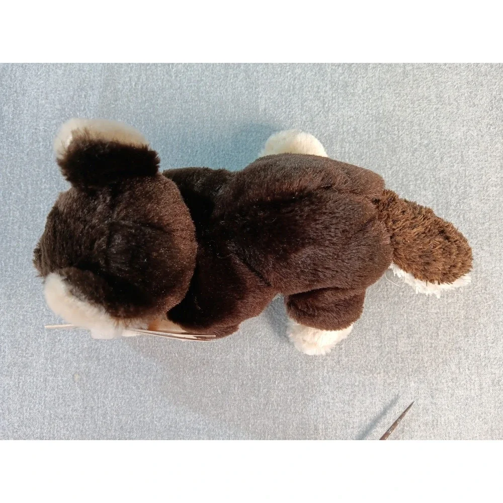 Bestever rare puppy