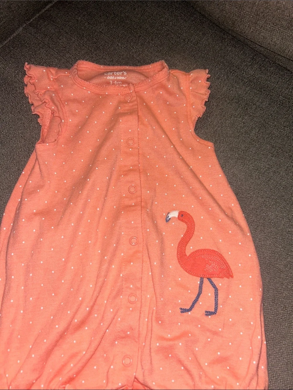 Carters embroidered snap