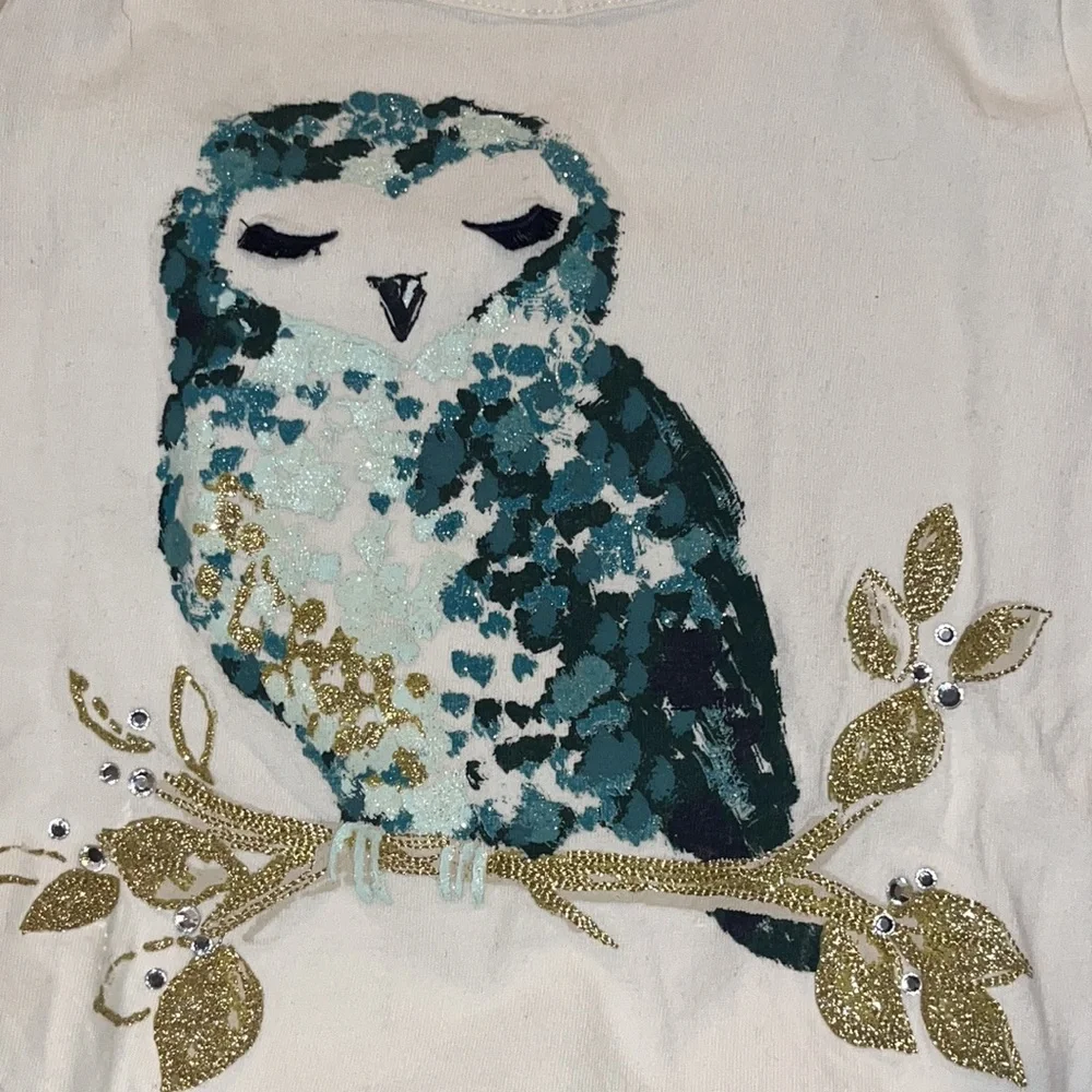 Gymboree Long Sleeve White w Teal Owl on Front T-Shirt Size 7 EUC