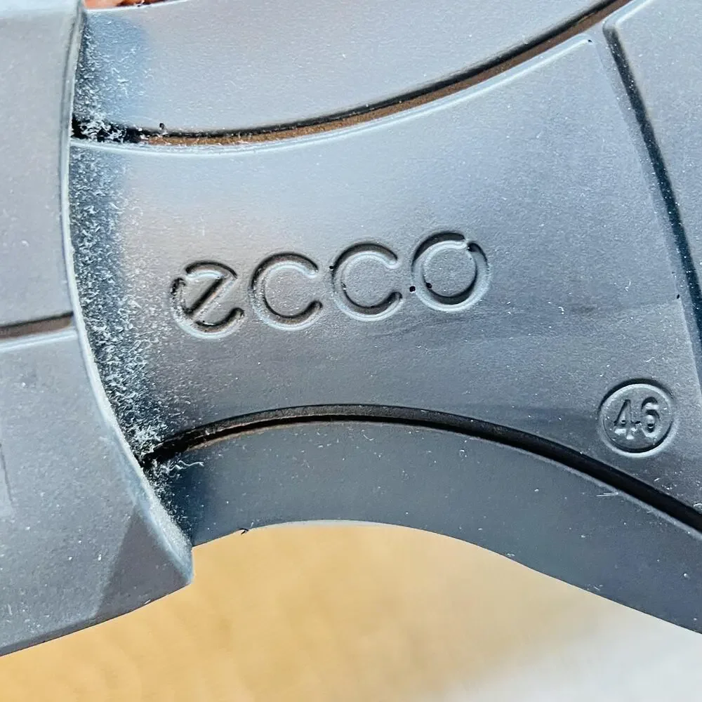 Ecco shoes mens