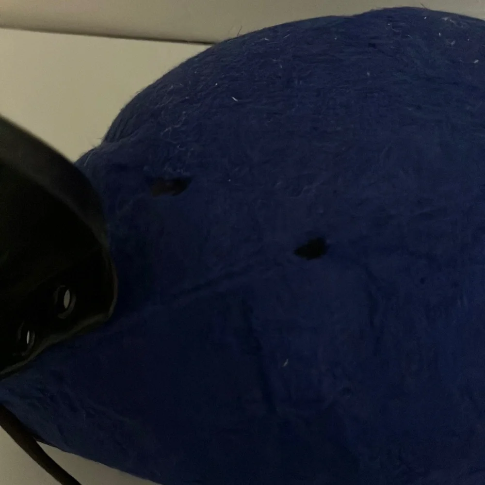 Vintage Blue Mickey Mouse Ears‎ Club Hat