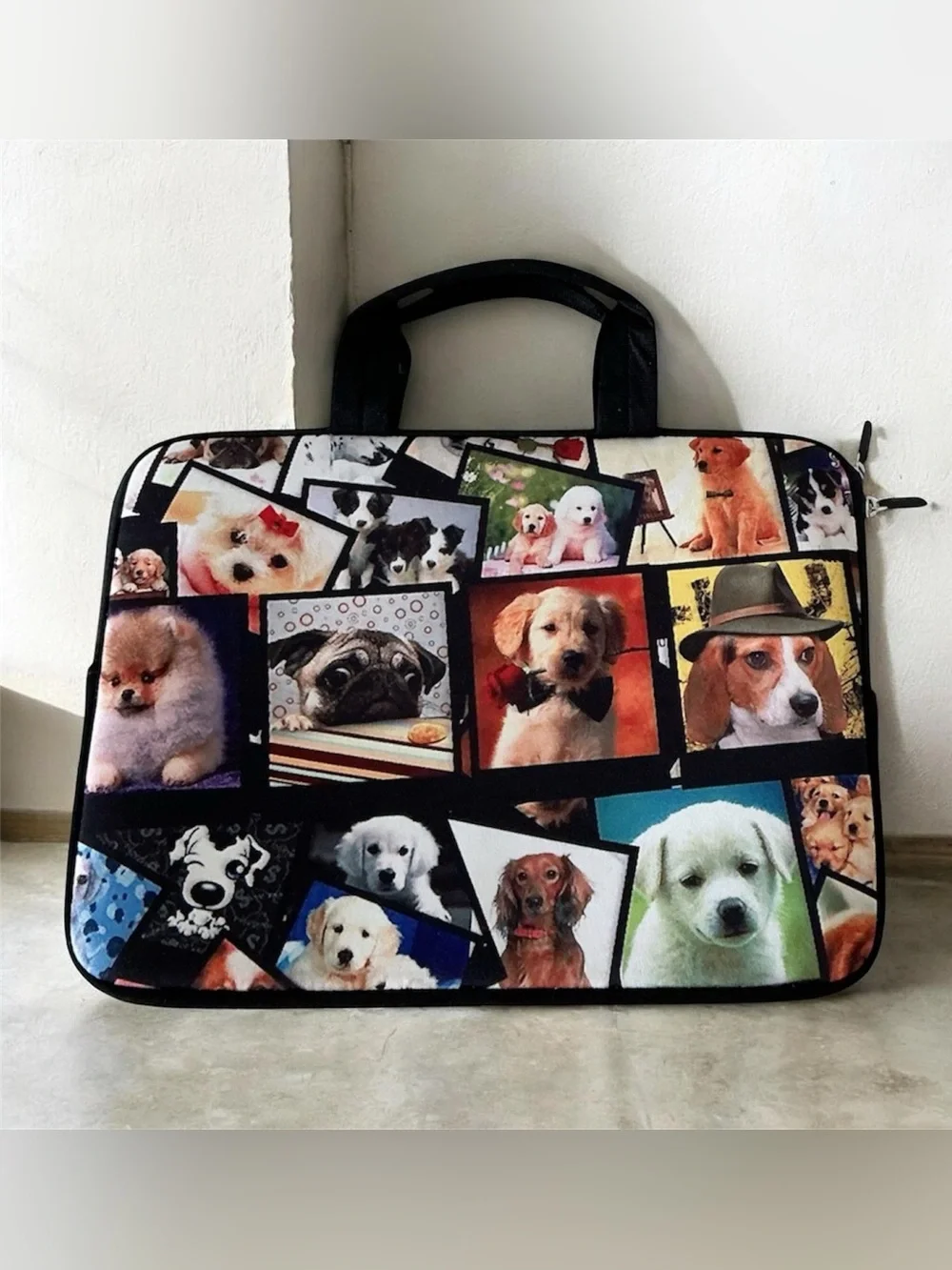 IColor laptop carrying