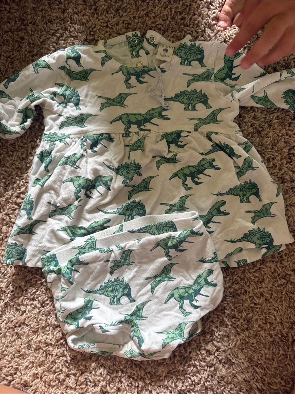 Kate Quinn Dinosaur Print Dress and Bloomers