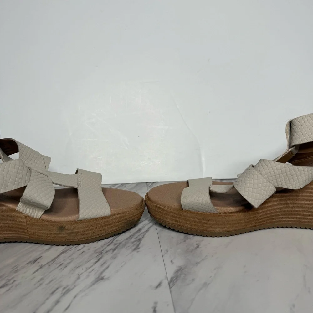 Dr. Scholls dr scholls