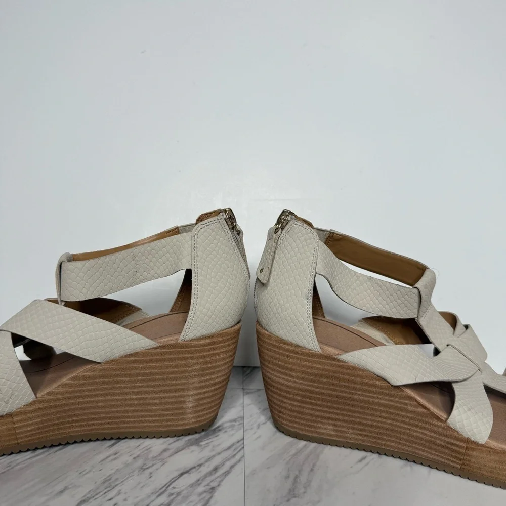 Dr. Scholls dr scholls