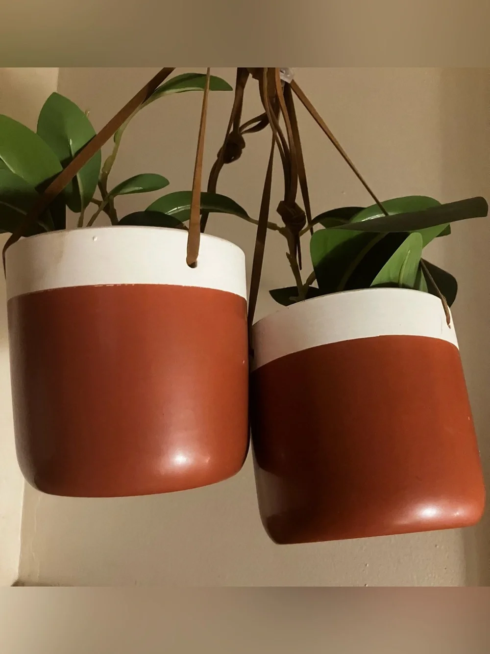 Set of 2 Terracotta & White Hanging Planter Pair - Modern Home Accents