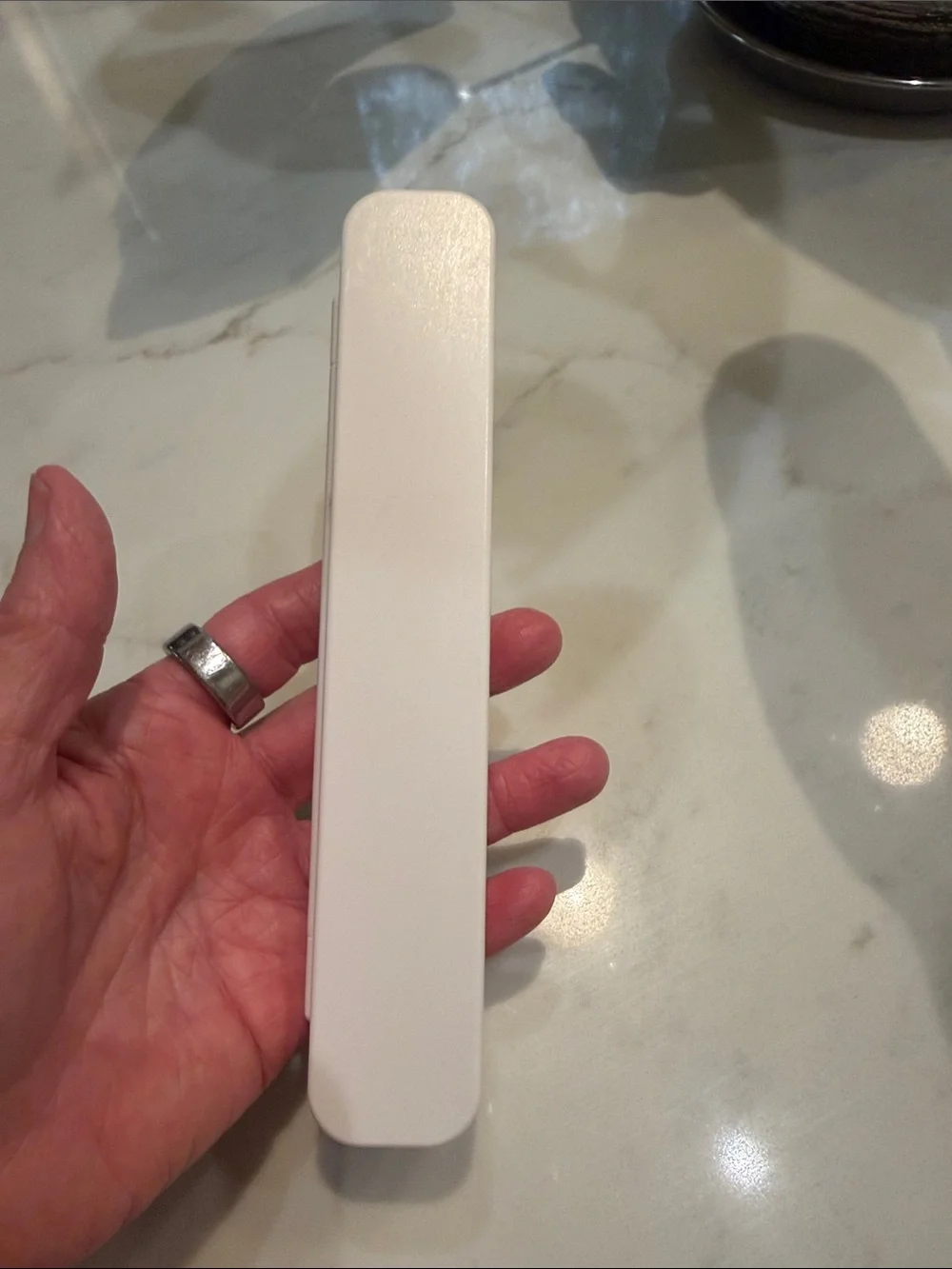 Apple pencil stylus