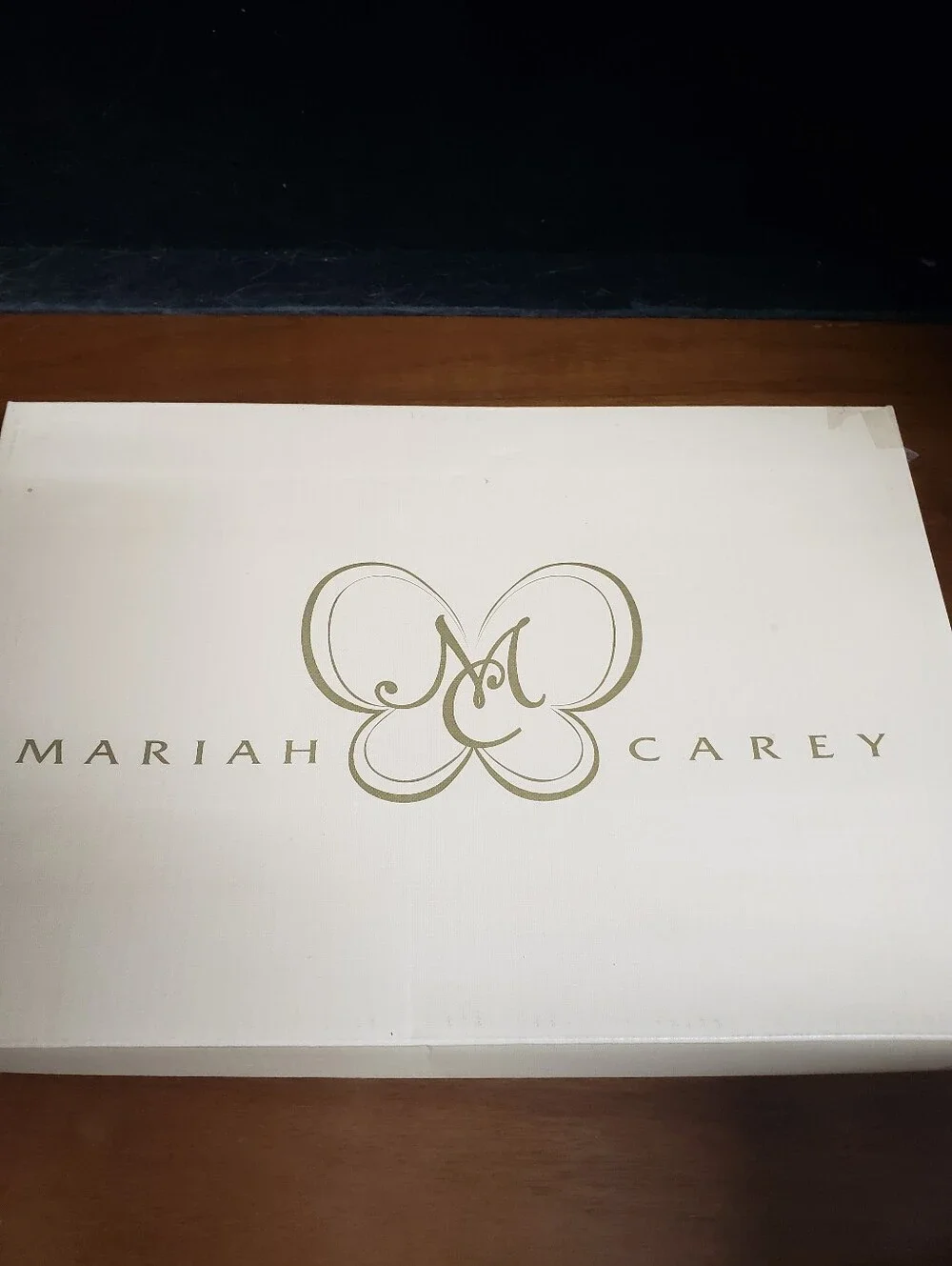 Mariah Carey shimmering silver