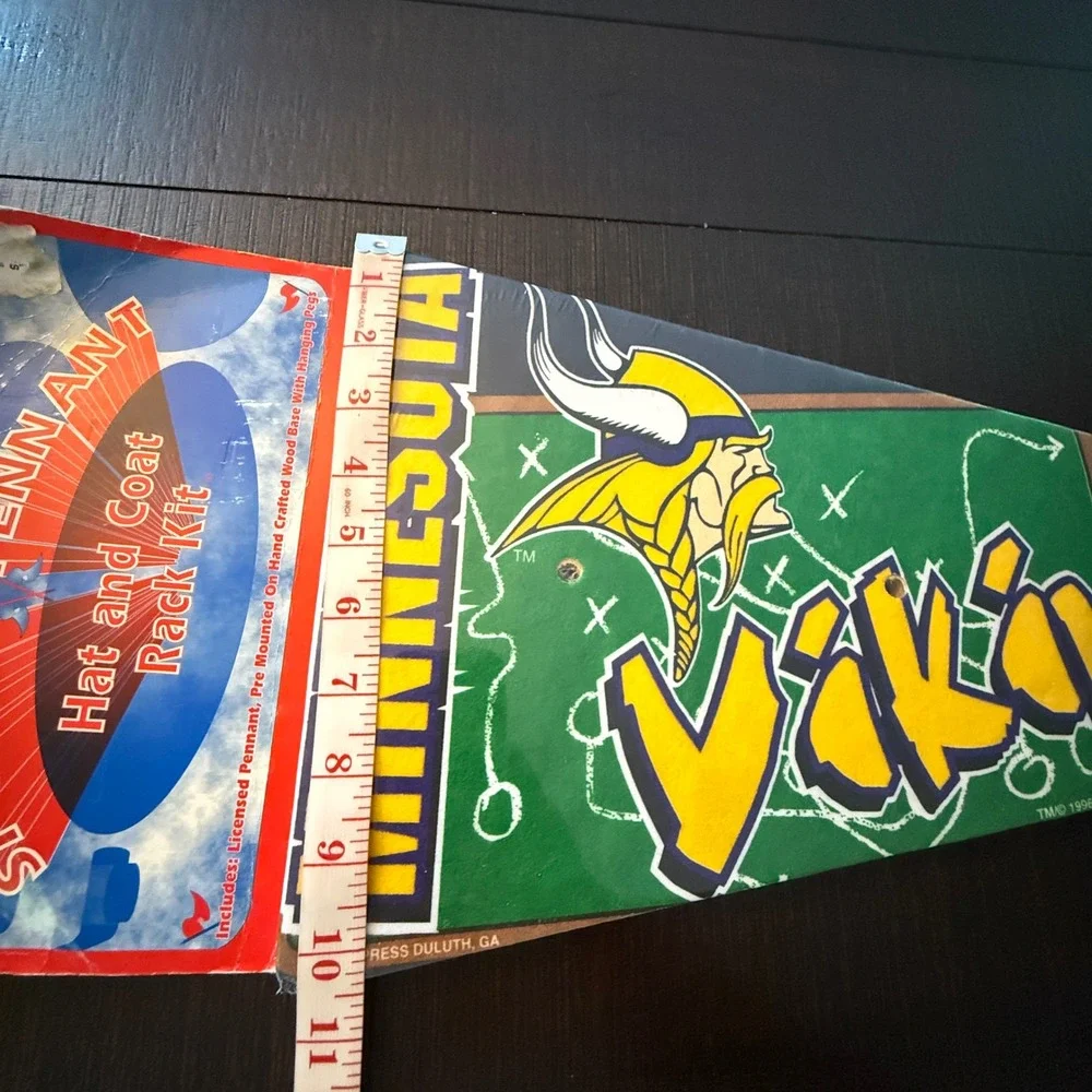 N/A minnesota vikings