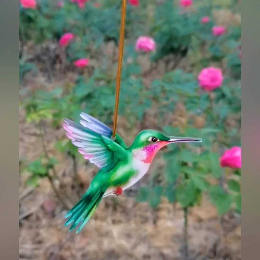 N/A one hummingbird